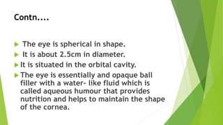 Contn....
 The eye is spherical in shape.
 It is about 2.5cm in diameter.
 It is situated in the orbital cavity.
 The eye is essentially and opaque ball
filler with a water- like fluid which is
called aqueous humour that provides
nutrition and helps to maintain the shape
of the cornea.
 