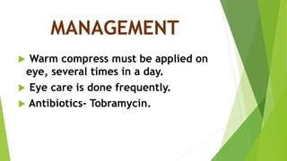 MANAGEMENT
 Warm compress must be applied on
eye, several times in a day.
 Eye care is done frequently.
 Antibiotics- Tobramycin.
 