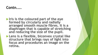 Contn....
Iris is the coloured part of the eye
formed by circularly and radially
arranged smooth muscle fibres. It is a
diaphragm that is capable of stretching
and reducing the size of the pupil.
Lens is a flexible, biconvex crystal like
structure that brings rays of light into
focus and procedures an image on the
retina.
 