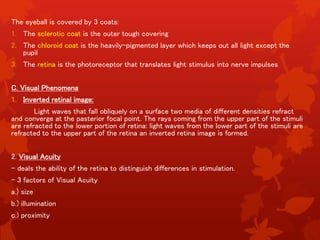 Visual Damage Visual Disorders of the Eye | PPTX