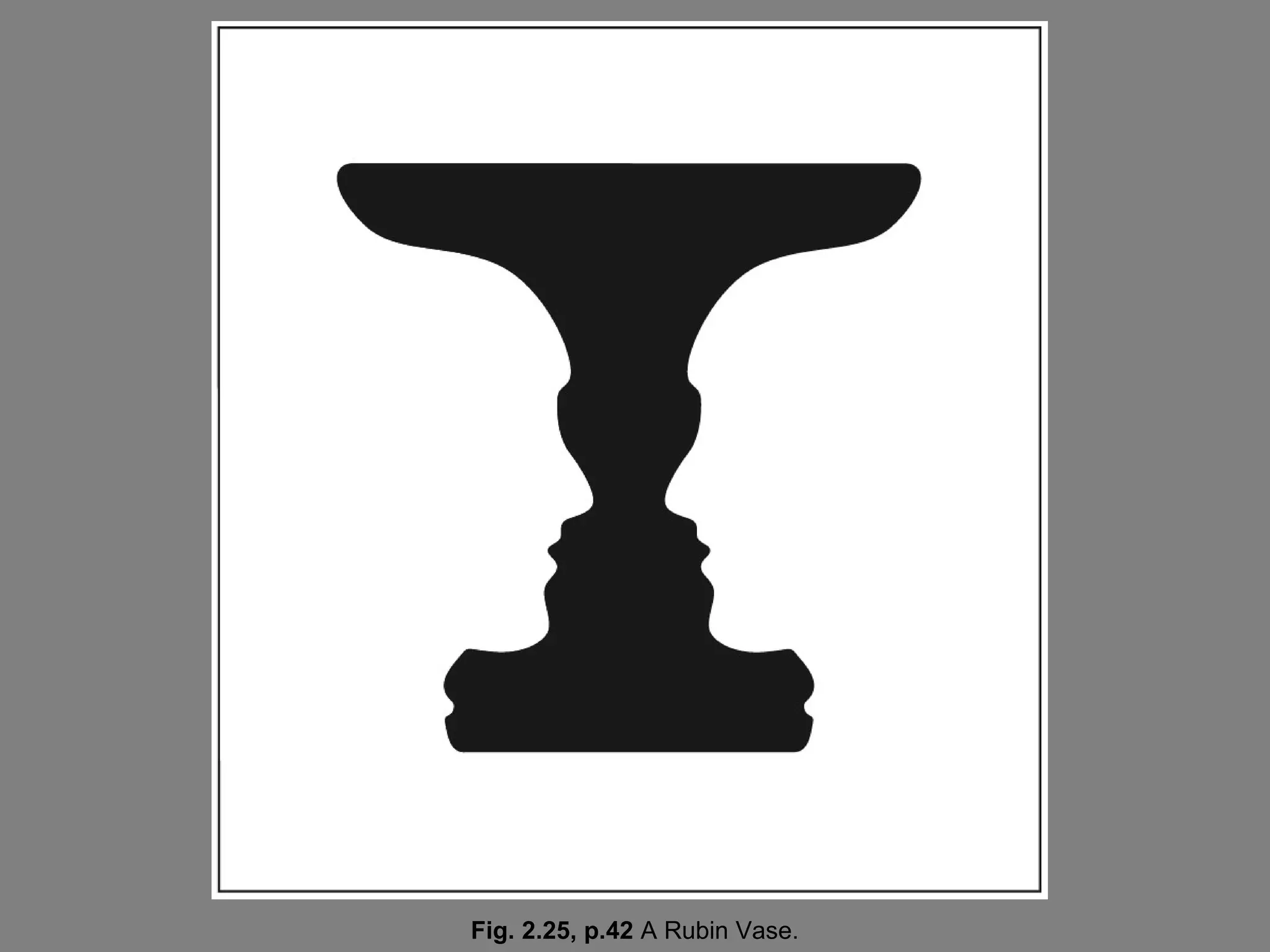 Fig. 2.25, p.42 A Rubin Vase.

 