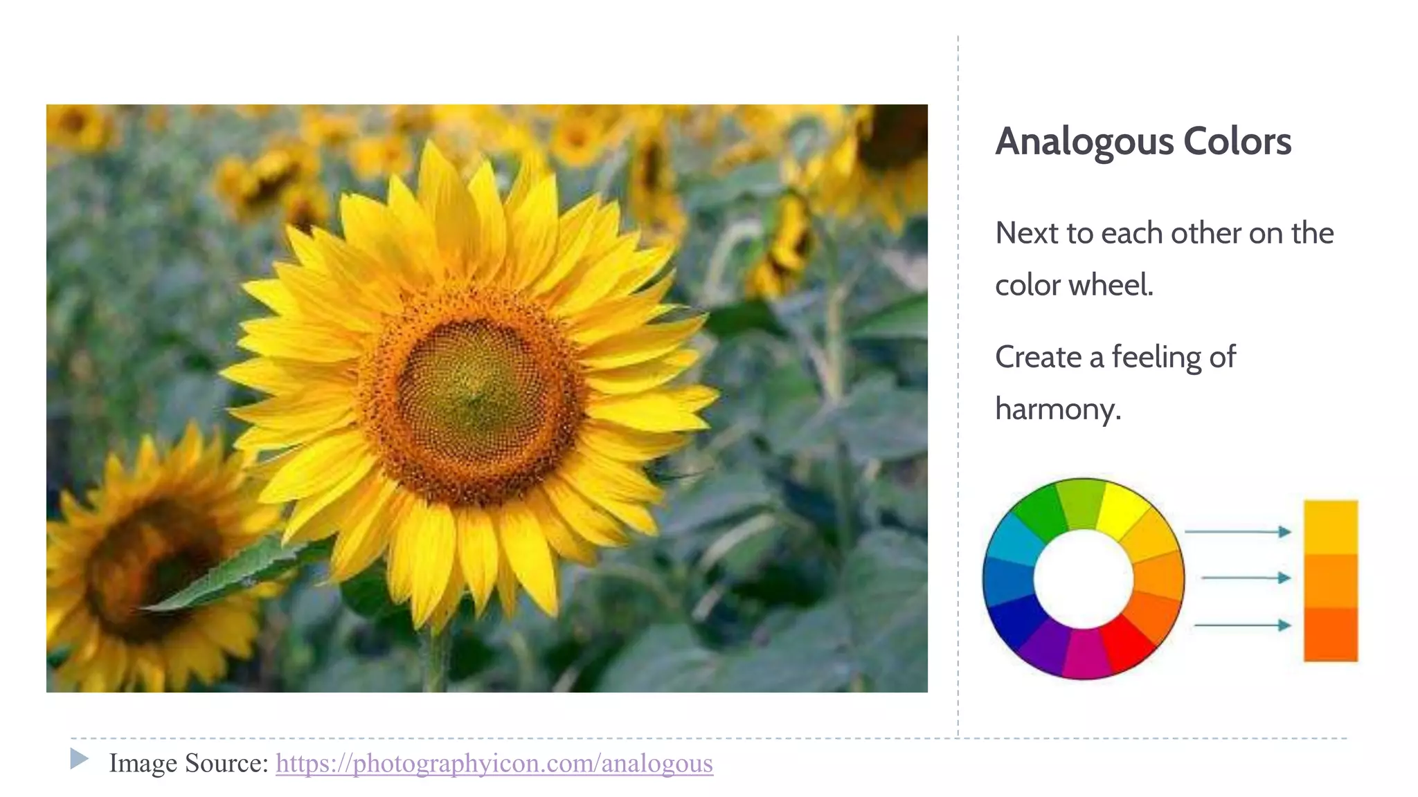 Analogous Colors
Next to each other on the
color wheel.
Create a feeling of
harmony.
Image Source: https://photographyicon.com/analogous
 