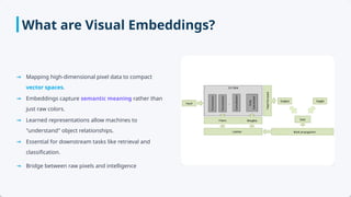 Comprehensive Overview of Visual Embeddings in Computer Vision ...