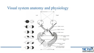 Comprehensive Overview of Visual Evoked Potentials in Neurology | PPTX