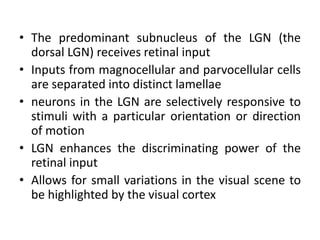 Visual evoked potentials | PPTX
