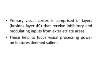 • Primary visual cortex is comprised of layers
(besides layer 4C) that receive inhibitory and
modulating inputs from extra-striate areas
• These help to focus visual processing power
on features deemed salient
 