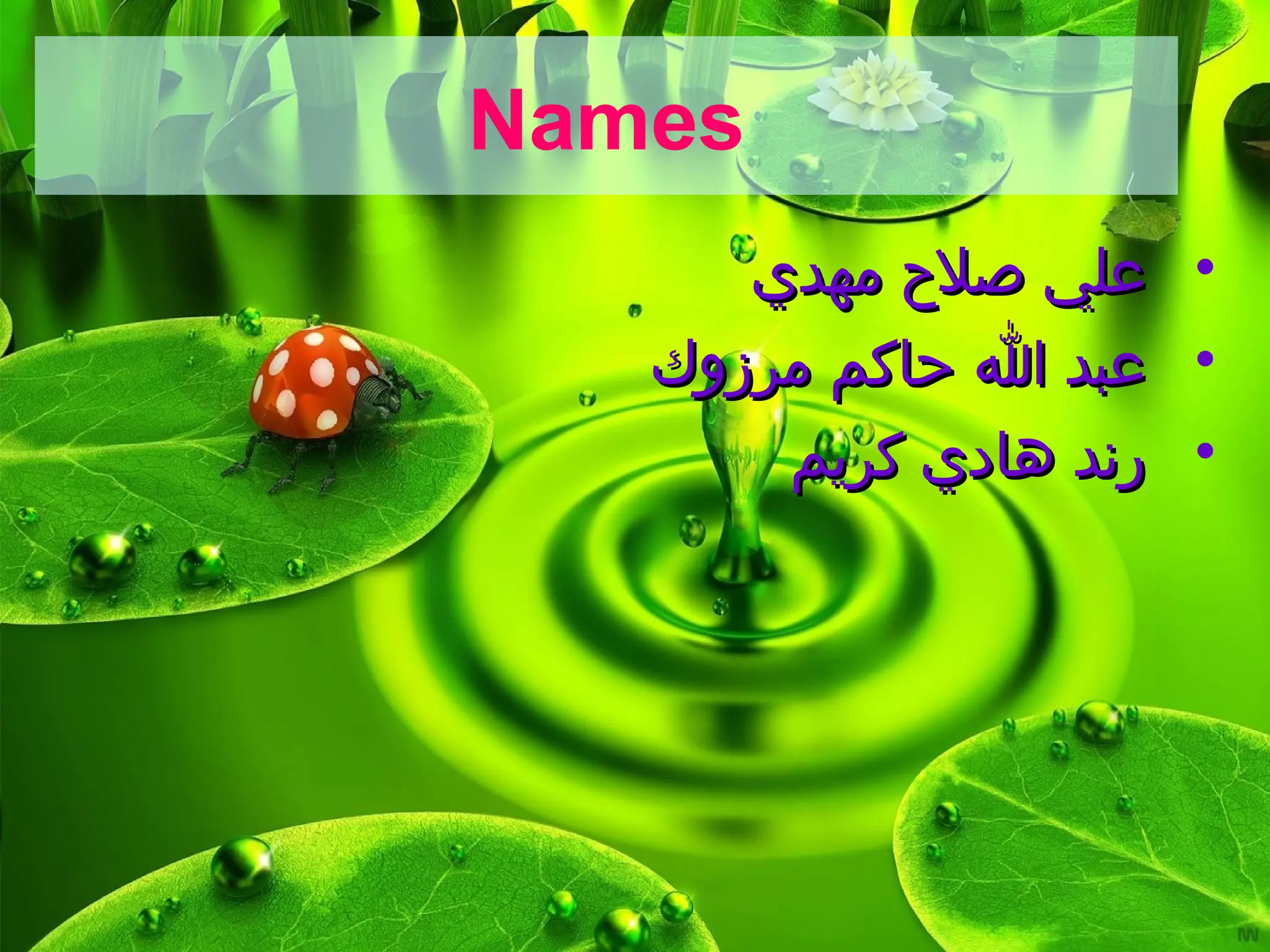 Names
•
‫مهدي‬ ‫صل ح‬ ‫علي‬
‫مهدي‬ ‫صل ح‬ ‫علي‬
•
‫مرزوك‬ ‫حاكم‬ ‫ا‬ ‫عبد‬
‫مرزوك‬ ‫حاكم‬ ‫ا‬ ‫عبد‬
•
‫كريم‬ ‫هادي‬ ‫رند‬
‫كريم‬ ‫هادي‬ ‫رند‬
 