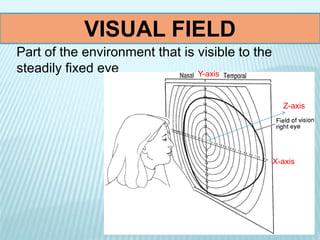 VISUAL FIELD
Part of the environment that is visible to the
steadily fixed eye
X-axis
Y-axis
Z-axis
 