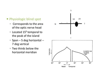 Visual field | PPTX