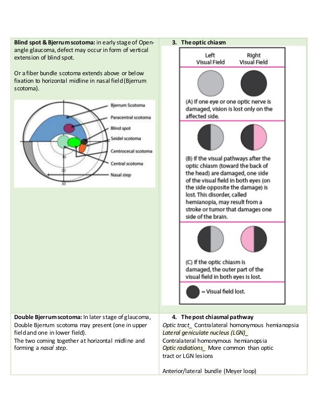 Blind spot & Bjerrum scotoma: in early stage of Open-
angle glaucoma, defect may occur in form of vertical
extension of blind spot.
Or a fiber bundle scotoma extends above or below
fixation to horizontal midline in nasal field (Bjerrum
scotoma).
3. The optic chiasm
Double Bjerrum scotoma: In later stage of glaucoma,
Double Bjerrum scotoma may present (one in upper
field and one in lower field).
The two coming together at horizontal midline and
forming a nasal step.
4. The post chiasmal pathway
Optic tract_ Contralateral homonymous hemianopsia
Lateral geniculate nucleus (LGN)_
Contralateral homonymous hemianopsia
Optic radiations_ More common than optic
tract or LGN lesions
 Anterior/lateral bundle (Meyer loop)
 
