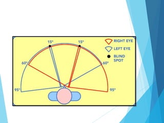 Compass Visual Field VISUAL FIELD.pptx