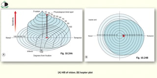 Visual_Field_and_Visual_field_Screening-1.pptx