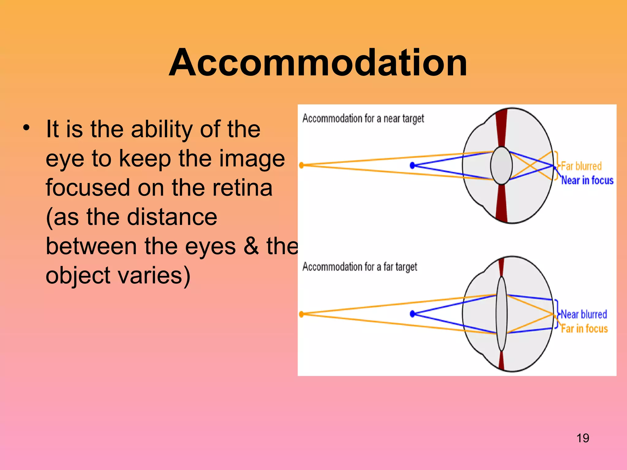 Accommodation
• It is the ability of the
eye to keep the image
focused on the retina
(as the distance
between the eyes & the
object varies)
19
 