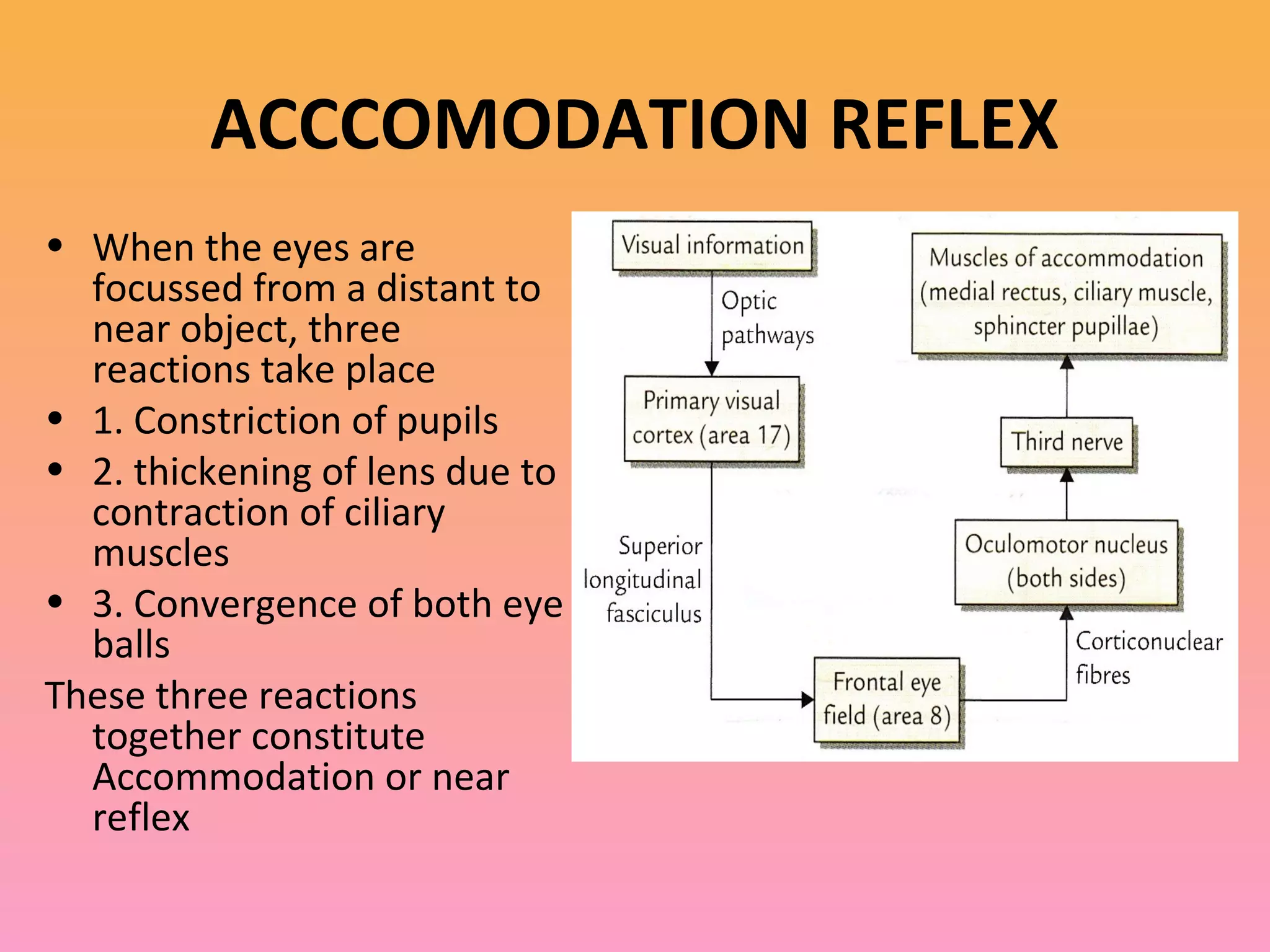 ACCCOMODATION REFLEX
• When the eyes are
focussed from a distant to
near object, three
reactions take place
• 1. Constriction of pupils
• 2. thickening of lens due to
contraction of ciliary
muscles
• 3. Convergence of both eye
balls
These three reactions
together constitute
Accommodation or near
reflex
 