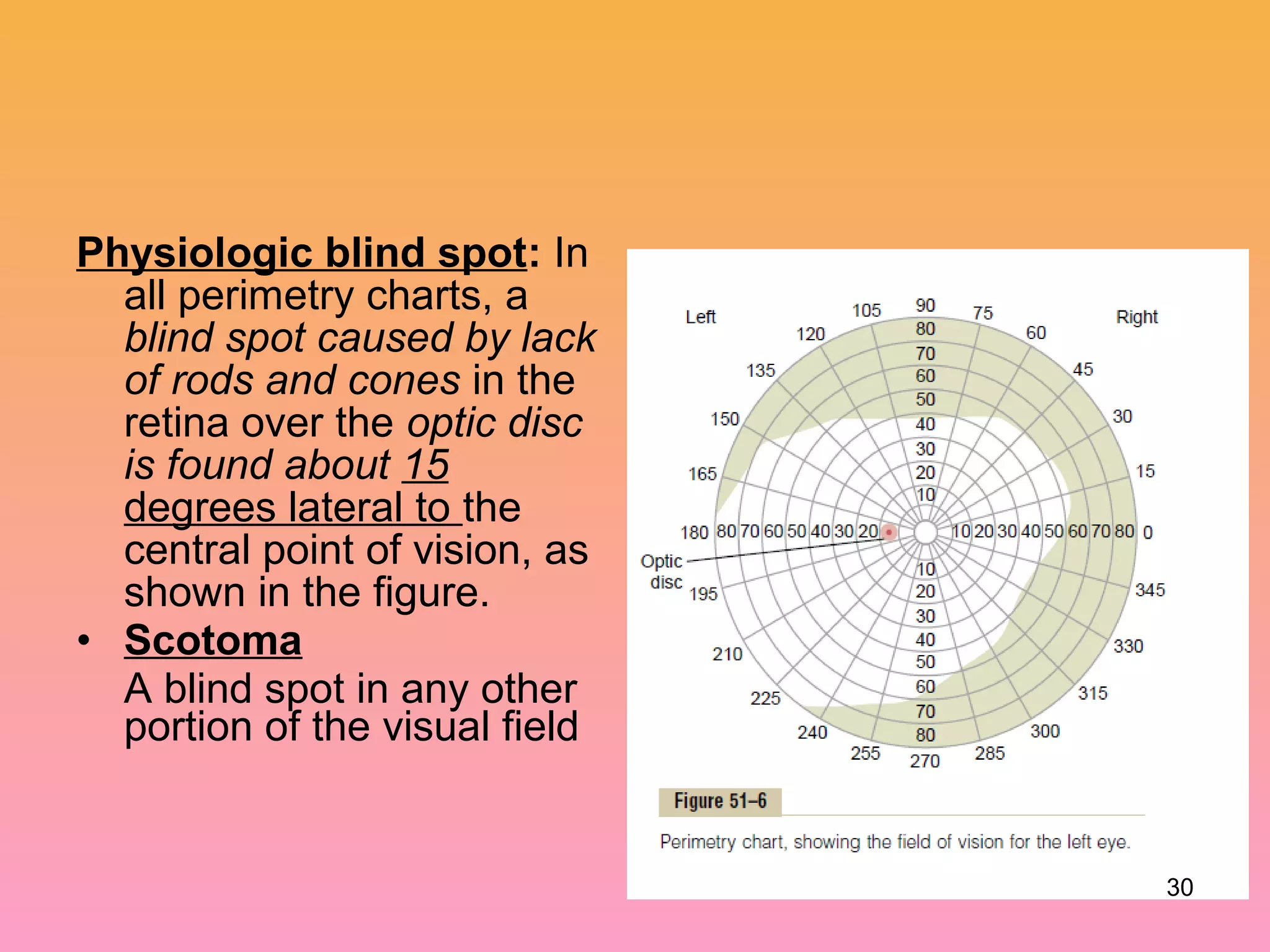 Physiologic blind spot: In
all perimetry charts, a
blind spot caused by lack
of rods and cones in the
retina over the optic disc
is found about 15
degrees lateral to the
central point of vision, as
shown in the figure.
• Scotoma
A blind spot in any other
portion of the visual field
30
 