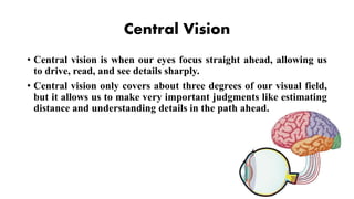 Central Vision
• Central vision is when our eyes focus straight ahead, allowing us
to drive, read, and see details sharply.
• Central vision only covers about three degrees of our visual field,
but it allows us to make very important judgments like estimating
distance and understanding details in the path ahead.
 