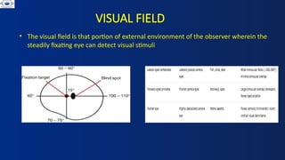 Visual Fields For Reference VISUAL FIELDS . BASICS OF VISUAL FIELDS AND ITS INTERPRETATION | PPTX