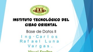 Instituto Tecnológico del
Cibao Oriental
Base de Datos II
I n g . Ca r l o s
Ra f a e l L u n a
Va r g a s .

 