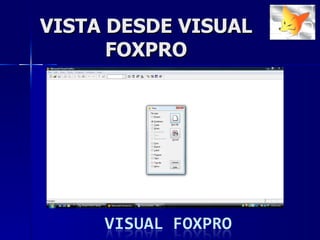 VISTA DESDE VISUAL FOXPRO 