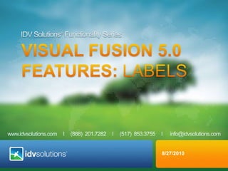 IDV Solutions® Functionality Series VISUAL fusion 5.0  Features: Labels 