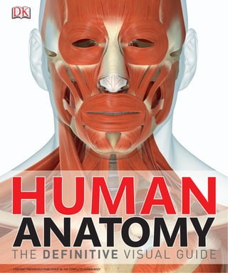 ANATOMYANATOMY
HHUUMANMAN
THE DEFINITIVE VISUAL GUIDE
CONTENT PREVIOUSLY PUBLISHED IN THE COMPLETE HUMAN BODY
 