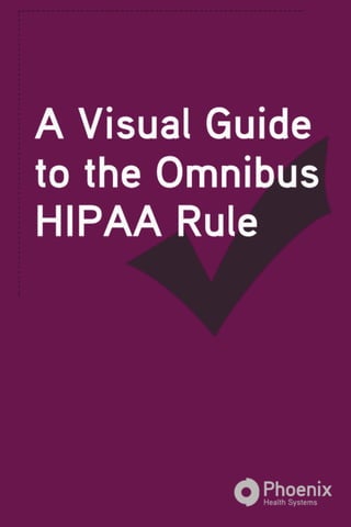 Visual Guide to Omnibus HIPAA