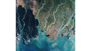 Visual Image Interpretation in Remote Sensing