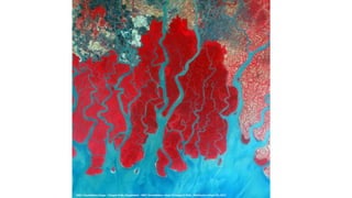 Visual Image Interpretation in Remote Sensing