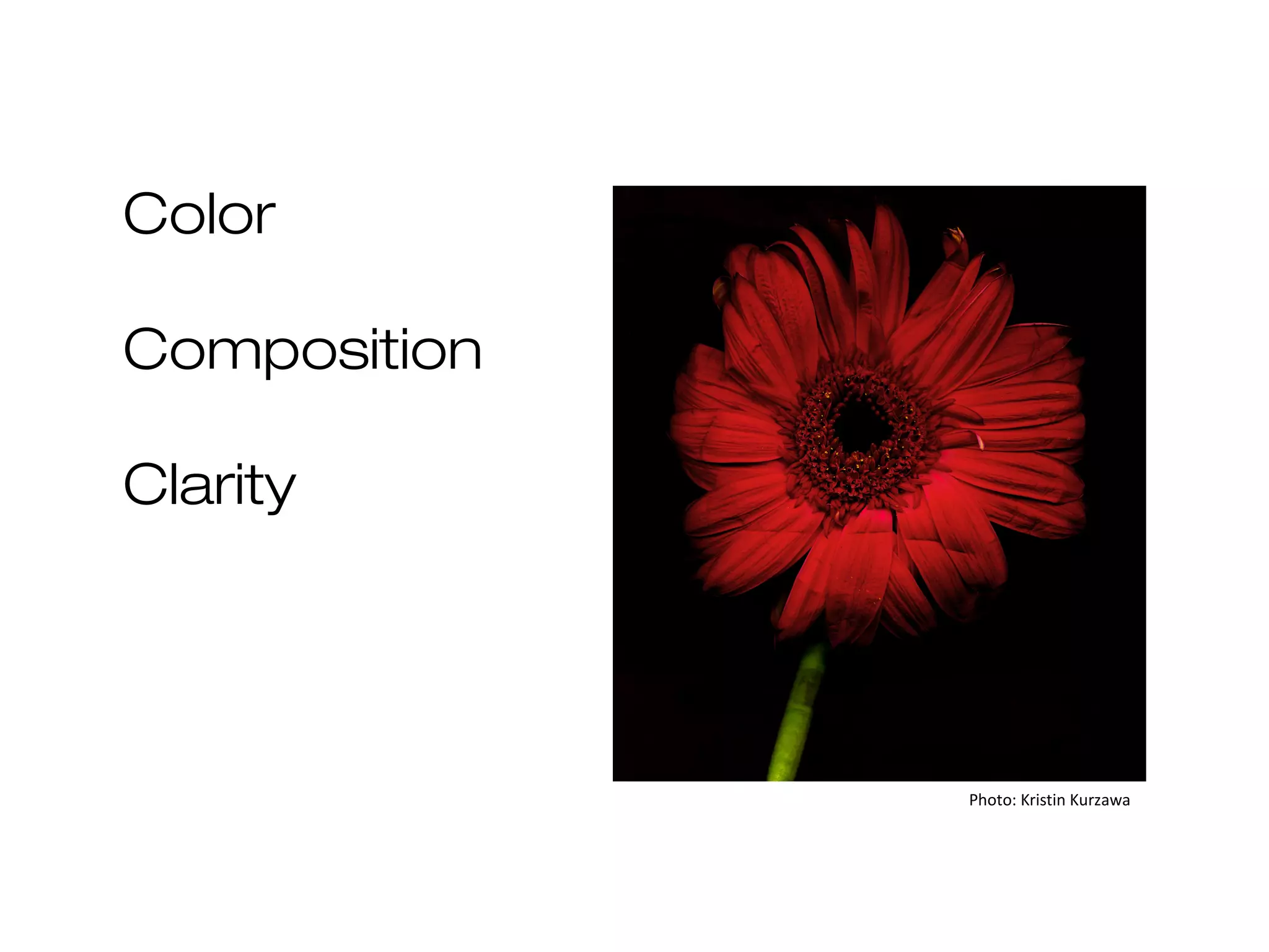 Color
Composition
Clarity

Photo: Kristin Kurzawa

 