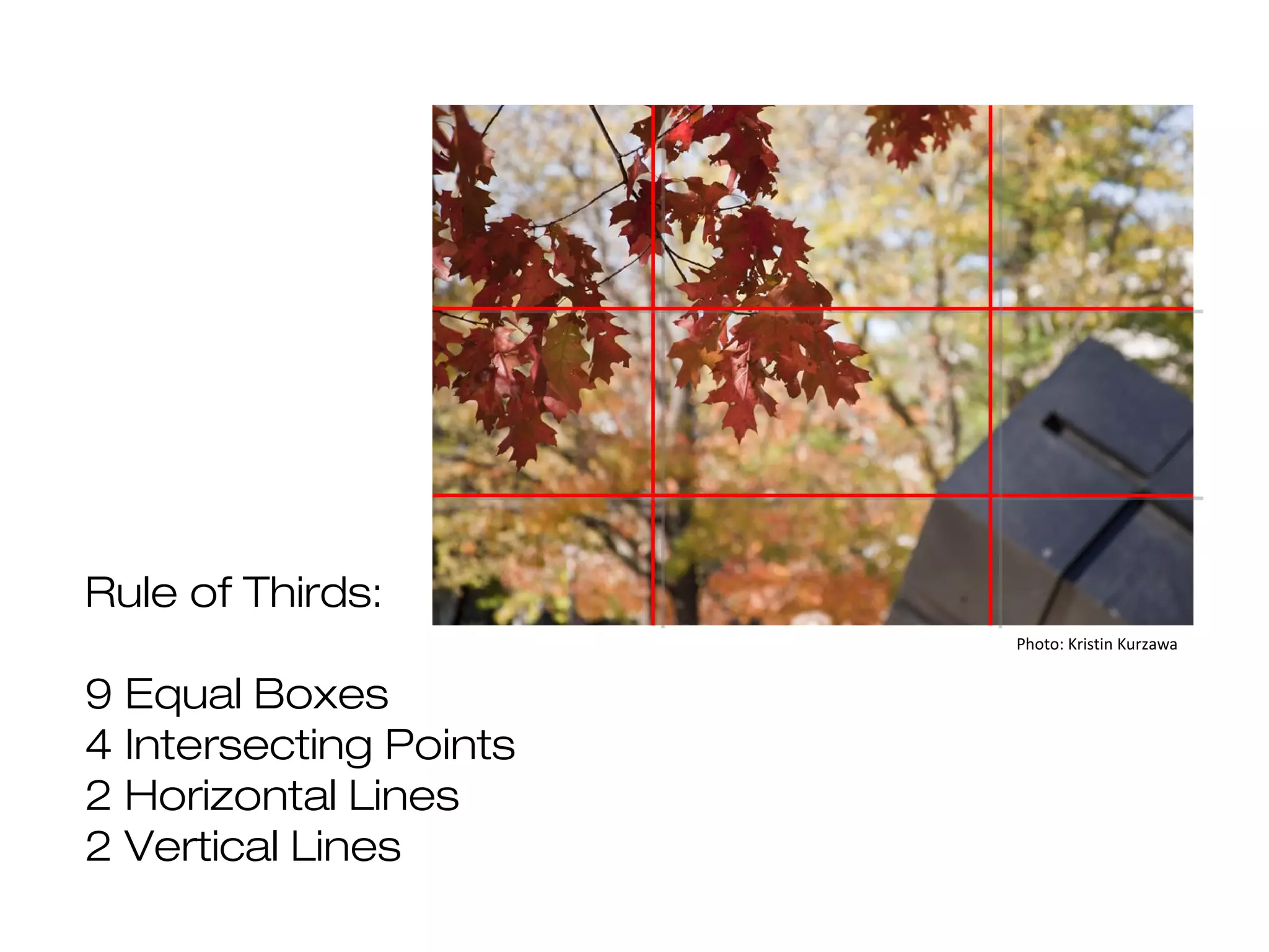 Rule of Thirds:
Photo: Kristin Kurzawa

9 Equal Boxes
4 Intersecting Points
2 Horizontal Lines
2 Vertical Lines

 