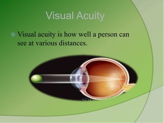 Visual Acuity
 Visual  acuity is how well a person can
  see at various distances.
 
