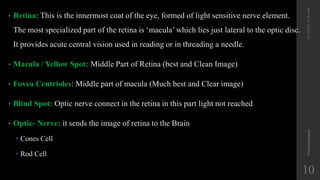 12/19/2022
10:56
AM
Visual
Impairment
10
• Retina: This is the innermost coat of the eye, formed of light sensitive nerve element.
The most specialized part of the retina is ‘macula’ which lies just lateral to the optic disc.
It provides acute central vision used in reading or in threading a needle.
• Macula / Yellow Spot: Middle Part of Retina (best and Clean Image)
• Fovea Centrioles: Middle part of macula (Much best and Clear image)
• Blind Spot: Optic nerve connect in the retina in this part light not reached
• Optic- Nerve: it sends the image of retina to the Brain
 Cones Cell
 Rod Cell
 