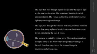• The rays then pass through crystal lineless and the rays of light
are focused on the retina. The process of focusing is called
accommodation. The cornea and the lens combine to bend the
light rays as they pass through.
• The rays pass through the vitreous body and penetrate on retina,
where they set up a photo-chemical response in the outermost
layers, stimulating the rods & cones.
• The impulse is picked by retinal nerve fibres and passes along
the optic nerve to the brain where an upside down image is
formed. Based on experience, the inverted image is
psychologically transposed.
12/19/2022
10:56
AM
Visual
Impairment
12
 