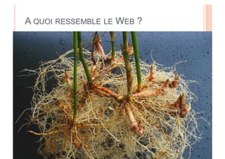 A QUOI RESSEMBLE LE WEB ?
 