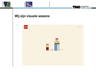 Wij zijn visuele wezens
 