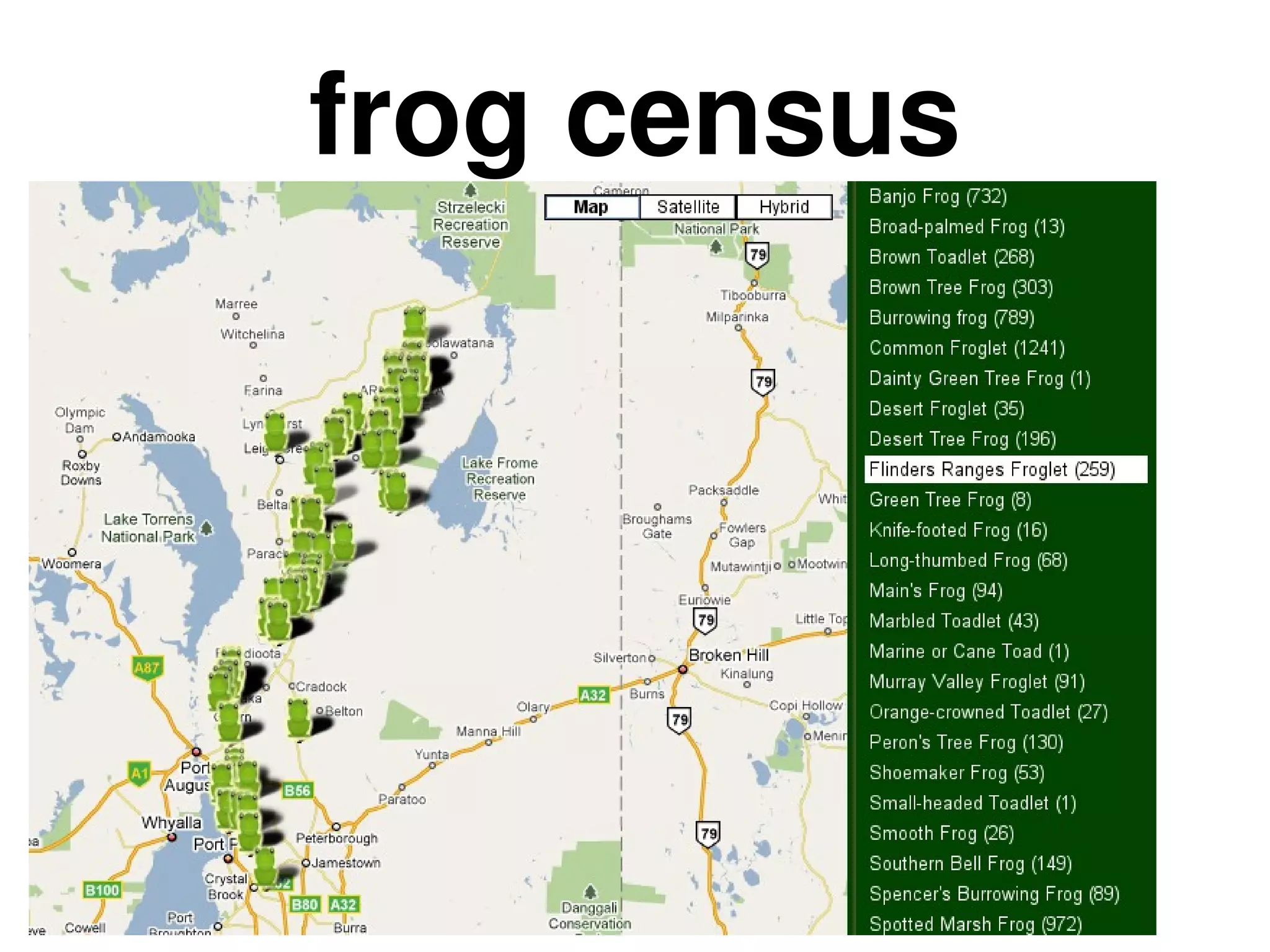 frog census