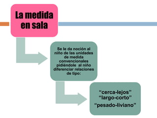 La medida
en sala
Se le da noción al
niño de las unidades
de medida
convencionales
pidiéndole al niño
diferenciar relaciones
de tipo:
“cerca-lejos”
“largo-corto”
“pesado-liviano”
 