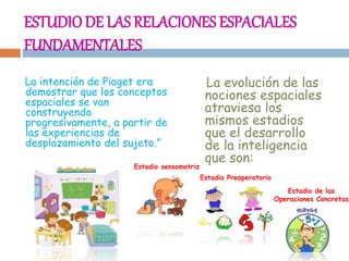 ESTUDIODE LAS RELACIONES ESPACIALES
FUNDAMENTALES
La intención de Piaget era
demostrar que los conceptos
espaciales se van
construyendo
progresivamente, a partir de
las experiencias de
desplazamiento del sujeto.”
La evolución de las
nociones espaciales
atraviesa los
mismos estadios
que el desarrollo
de la inteligencia
que son:
Estadio sensomotriz
Estadio Preoperatorio
Estadio de las
Operaciones Concretas
 