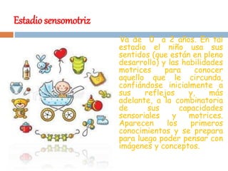 Estadio sensomotriz
Va de 0 a 2 años. En tal
estadio el niño usa sus
sentidos (que están en pleno
desarrollo) y las habilidades
motrices para conocer
aquello que le circunda,
confiándose inicialmente a
sus reflejos y, más
adelante, a la combinatoria
de sus capacidades
sensoriales y motrices.
Aparecen los primeros
conocimientos y se prepara
para luego poder pensar con
imágenes y conceptos.
 