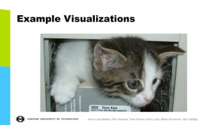 Example Visualizations
Anna-Liisa Mattila, Petri Ihantola, Terhi Kilamo, Antti Luoto, Mikko Nurminen, Heli Väätäjä
 