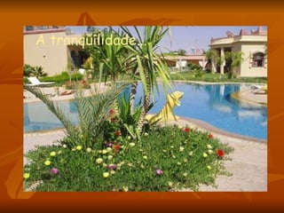A tranquilidade... 