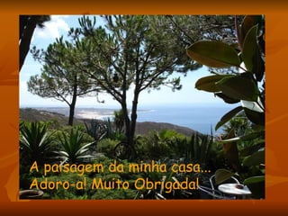 A paisagem da minha casa... Adoro-a! Muito Obrigada! 