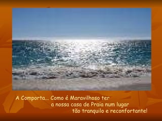 A Comporta... Como é Maravilhoso ter  a nossa casa de Praia num lugar  tão tranquilo e reconfortante! 