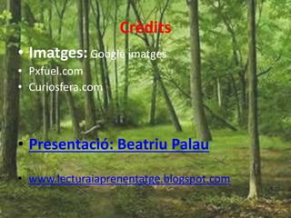 Crèdits
• Imatges: Google imatges
• Pxfuel.com
• Curiosfera.com
• Presentació: Beatriu Palau
• www.lecturaiaprenentatge.blogspot.com
 