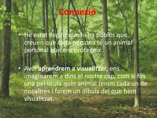 Connexió
• He estat llegint que hi ha pobles que
creuen que cada persona té un animal
personal que ens protegeix.
• Avui aprendrem a visualitzar, ens
imaginarem a dins el nostre cap, com si fos
una pel·lícula quin animal tenim cada un de
nosaltres i farem un dibuix del que hem
visualitzat.
 