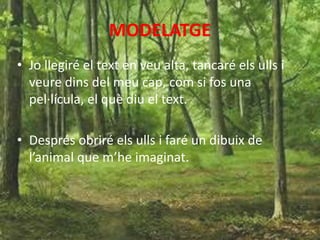 MODELATGE
• Jo llegiré el text en veu alta, tancaré els ulls i
veure dins del meu cap, com si fos una
pel·lícula, el què diu el text.
• Després obriré els ulls i faré un dibuix de
l’animal que m’he imaginat.
 