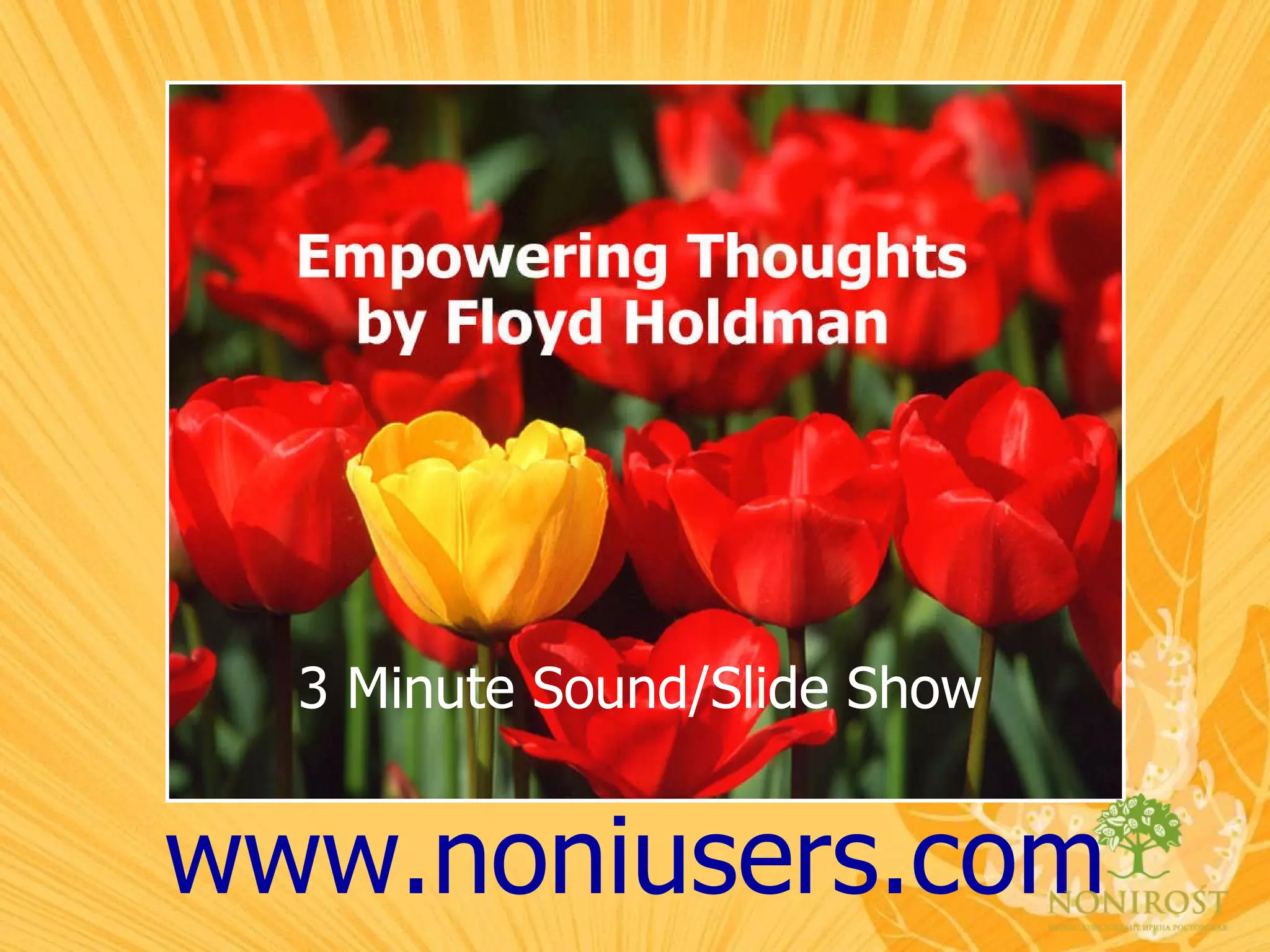 3 Minute Sound/Slide Show www.noniusers.com 