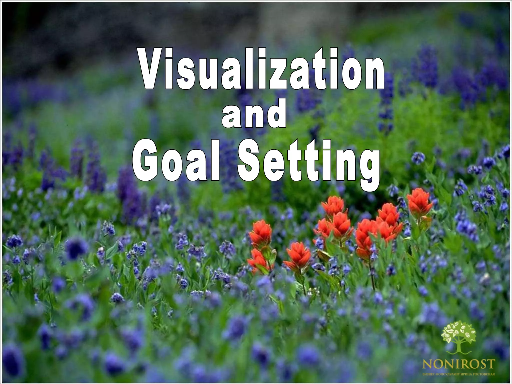 Visualization and Goal Setting 