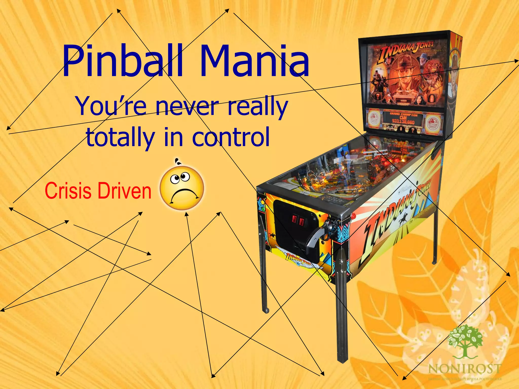 Pinball Mania You’re never really totally in control   Crisis Driven 