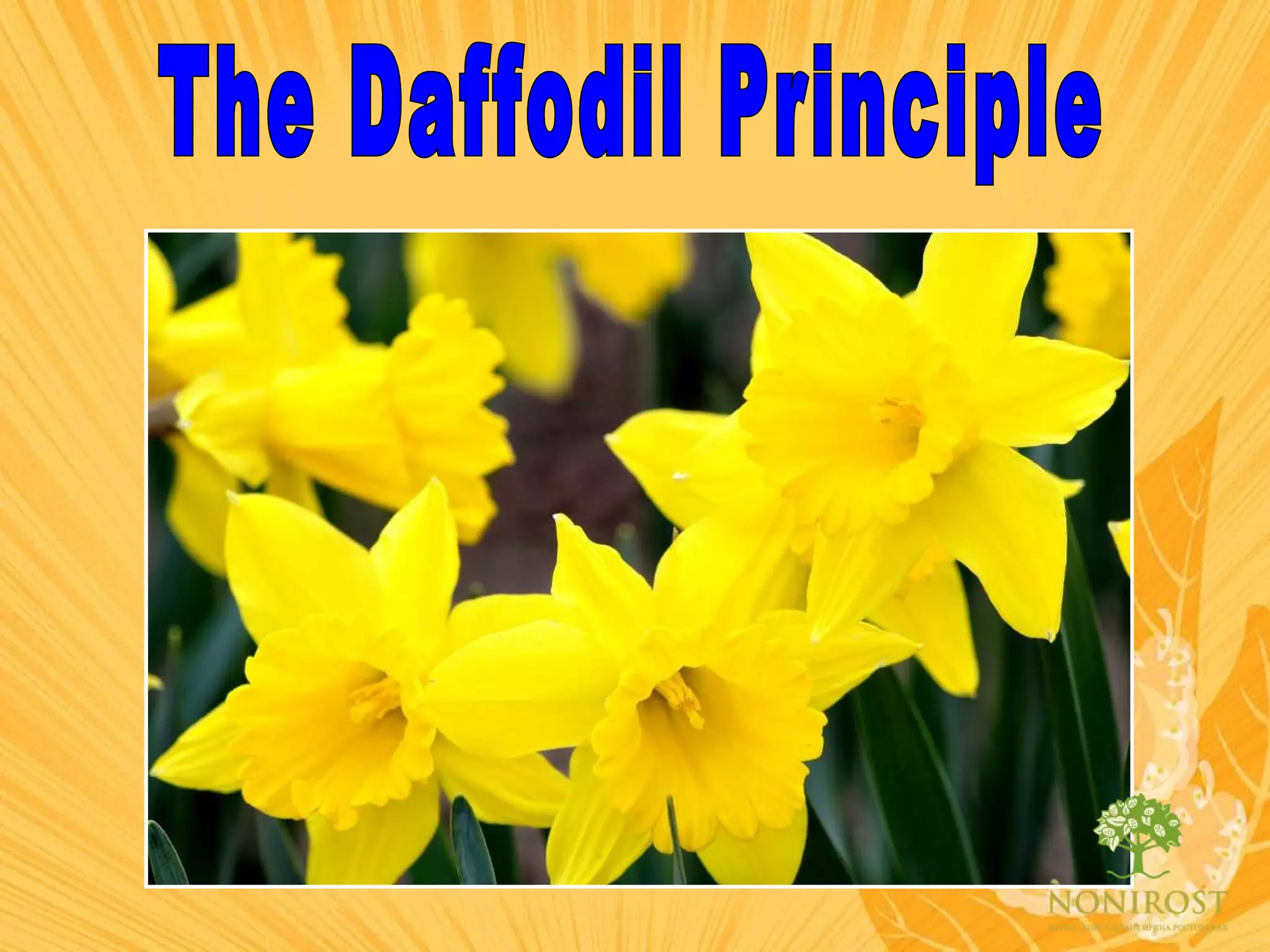 The Daffodil Principle 